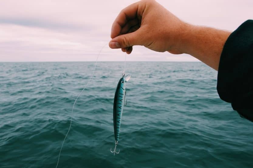 best bait for lake fishing