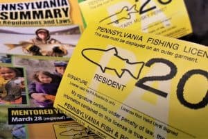 Read more about the article Walmart Fishing License Cost and How to Get One?
