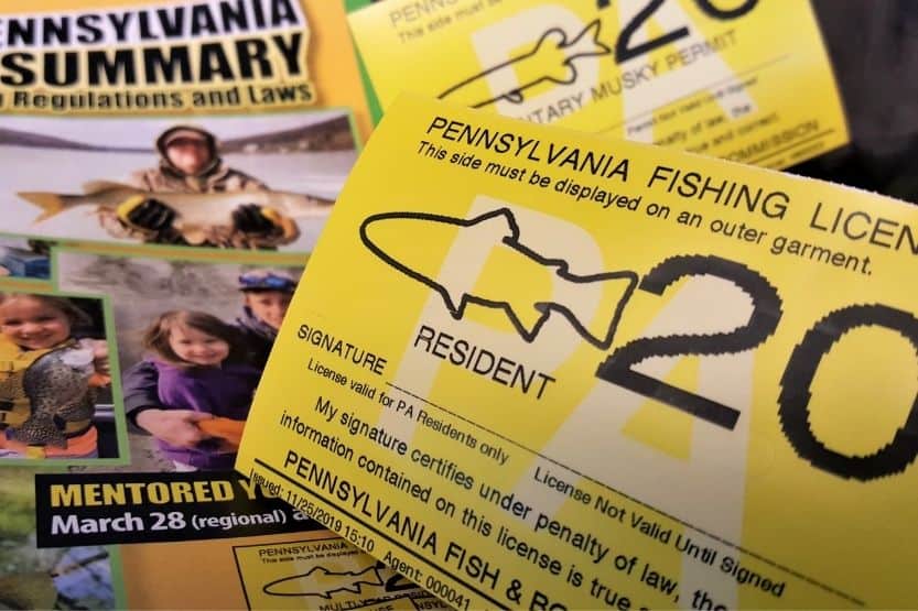 Walmart Fishing License Cost and How to Get One?