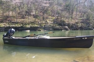 Read more about the article Towee Boats [Models, Specs, and Review]