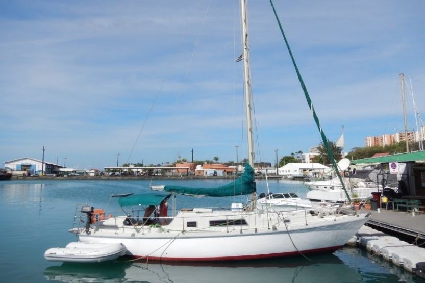 amel sailing yacht